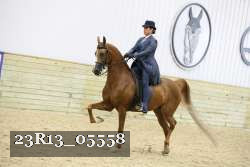23R13_05558 thumbnail