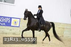 23R13_05559 thumbnail