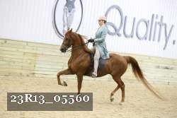 23R13_05560 thumbnail