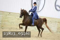 23R13_05561 thumbnail
