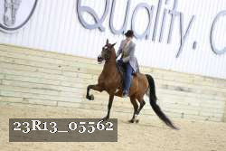 23R13_05562 thumbnail