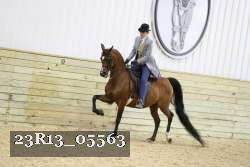 23R13_05563 thumbnail