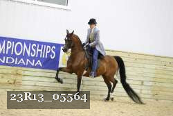 23R13_05564 thumbnail