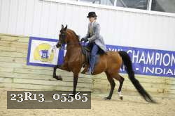 23R13_05565 thumbnail