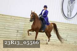 23R13_05566 thumbnail