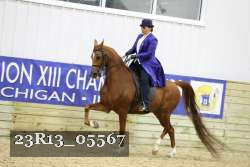 23R13_05567 thumbnail