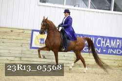 23R13_05568 thumbnail