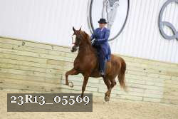 23R13_05569 thumbnail