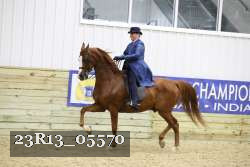 23R13_05570 thumbnail