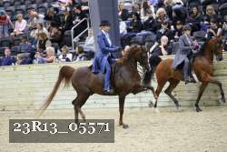 23R13_05571 thumbnail