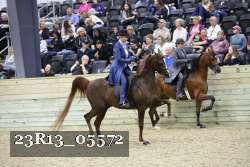 23R13_05572 thumbnail