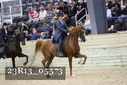 23R13_05573 thumbnail