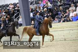 23R13_05574 thumbnail