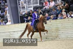 23R13_05575 thumbnail