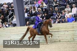 23R13_05576 thumbnail
