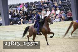 23R13_05577 thumbnail