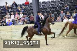 23R13_05578 thumbnail