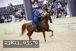 23R13_05579 thumbnail