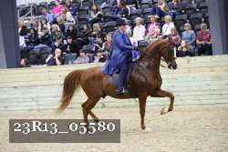 23R13_05580 thumbnail