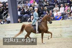 23R13_05581 thumbnail