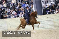 23R13_05582 thumbnail