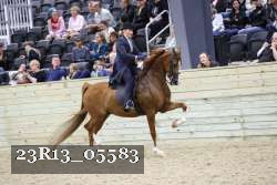 23R13_05583 thumbnail