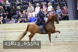 23R13_05584 thumbnail