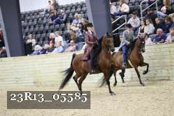 23R13_05585 thumbnail