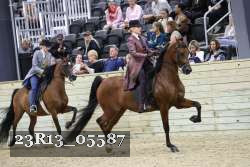 23R13_05587 thumbnail