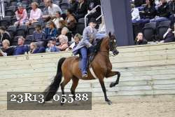 23R13_05588 thumbnail