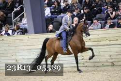 23R13_05589 thumbnail