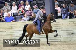 23R13_05590 thumbnail