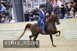 23R13_05591 thumbnail
