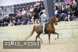 23R13_05595 thumbnail