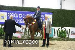 23R13_05599 thumbnail