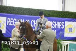 23R13_05603 thumbnail