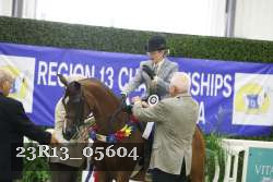 23R13_05604 thumbnail