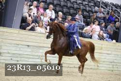 23R13_05610 thumbnail