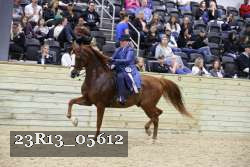23R13_05612 thumbnail