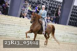 23R13_05614 thumbnail