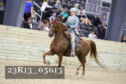 23R13_05615 thumbnail
