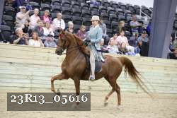 23R13_05616 thumbnail