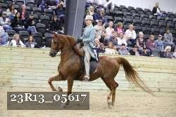 23R13_05617 thumbnail