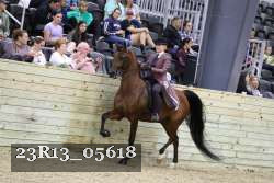 23R13_05618 thumbnail