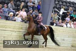23R13_05619 thumbnail