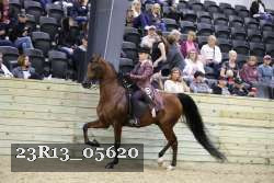 23R13_05620 thumbnail