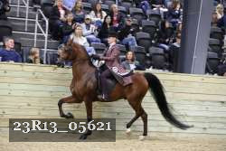 23R13_05621 thumbnail