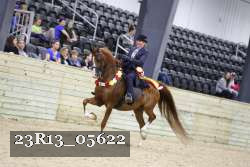 23R13_05622 thumbnail