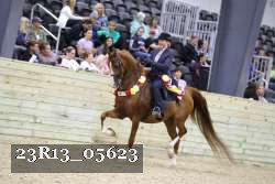 23R13_05623 thumbnail