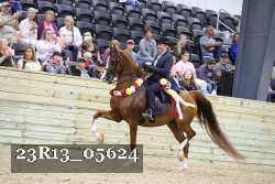 23R13_05624 thumbnail